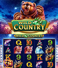 Игровой автомат Wild Country